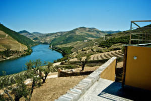Destination Douro Activities Volunteering-3