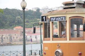 Destination Porto-activities Volunteering-4