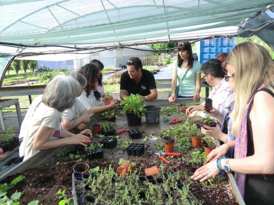 organic_faming_volunteer_tourism_porto-1